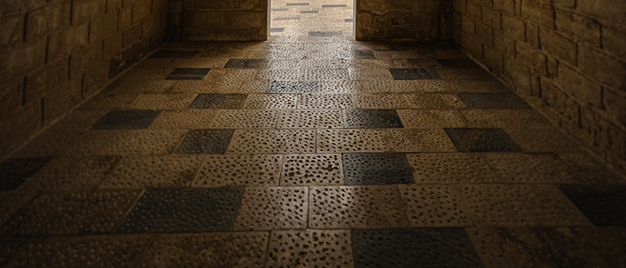 Osuszanie budynk&oacute;w w Krakowie DDD Czystość