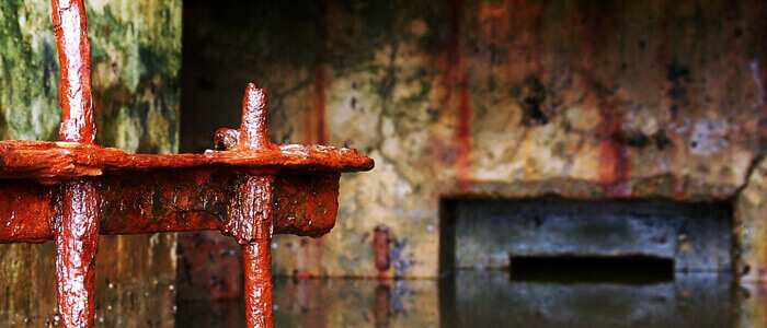 Osuszanie budynk&oacute;w w Krakowie DDD Czystość